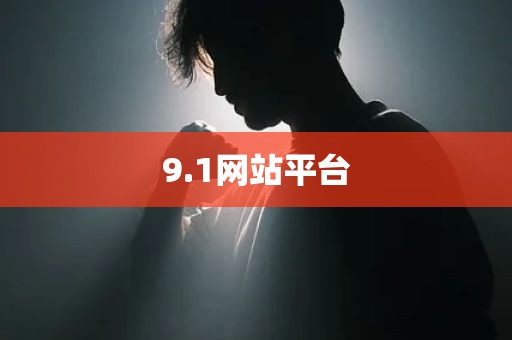 9.1网站平台