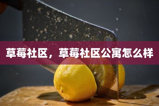 草莓社区，草莓社区公寓怎么样