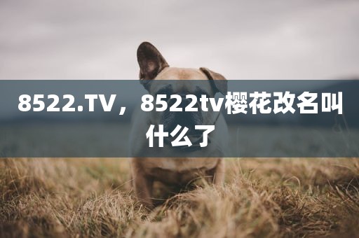 8522.TV，8522tv樱花改名叫什么了