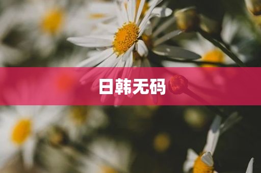 日韩无码