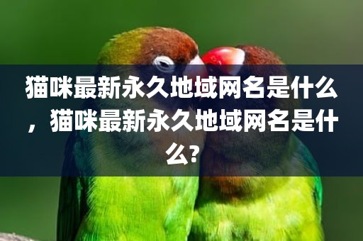 猫咪最新永久地域网名是什么，猫咪最新永久地域网名是什么?