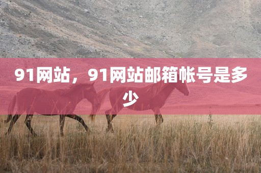 91网站，91网站邮箱帐号是多少