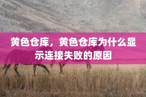 黄色仓库，黄色仓库为什么显示连接失败的原因