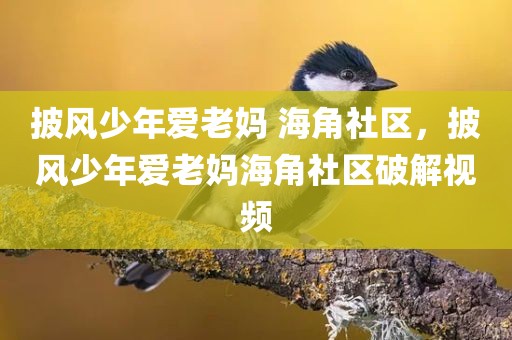披风少年爱老妈 海角社区，披风少年爱老妈海角社区破解视频