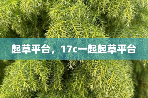 起草平台，17c一起起草平台