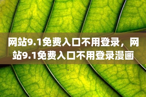 网站9.1免费入口不用登录，网站9.1免费入口不用登录漫画
