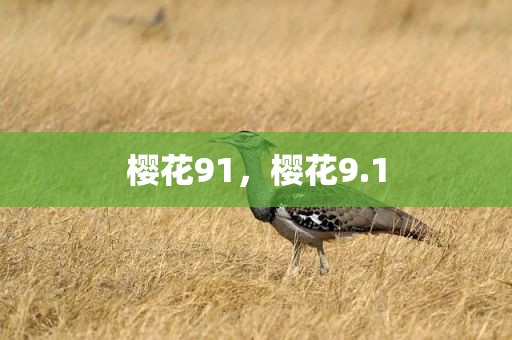 樱花91，樱花9.1