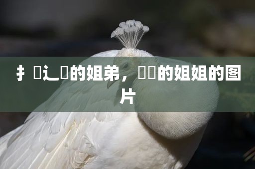 扌臿辶畐的姐弟，咘咘的姐姐的图片