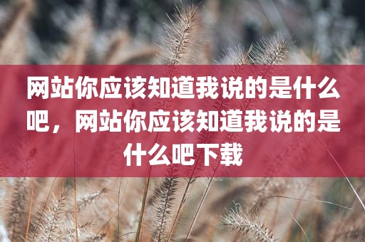 网站你应该知道我说的是什么吧，网站你应该知道我说的是什么吧下载