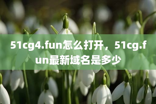 51cg4.fun怎么打开，51cg.fun最新域名是多少