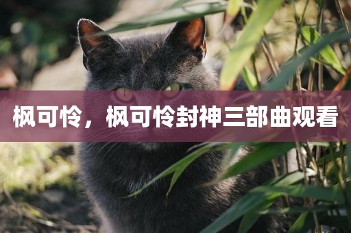枫可怜，枫可怜封神三部曲观看