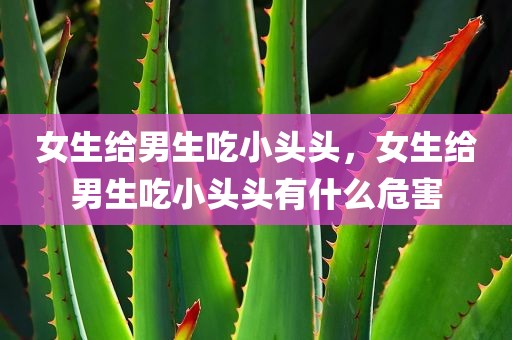 女生给男生吃小头头，女生给男生吃小头头有什么危害