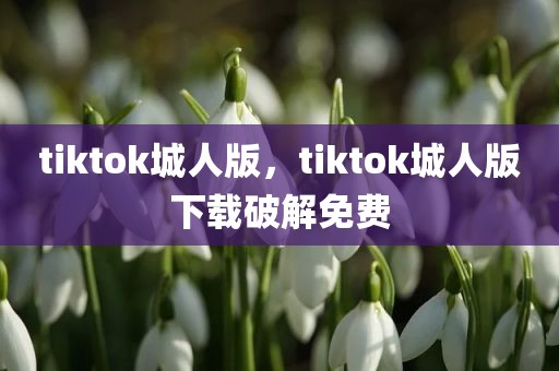 tiktok城人版，tiktok城人版下载破解免费
