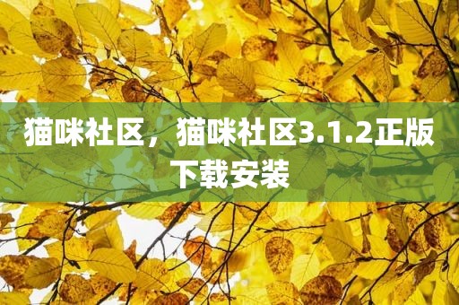 猫咪社区，猫咪社区3.1.2正版下载安装