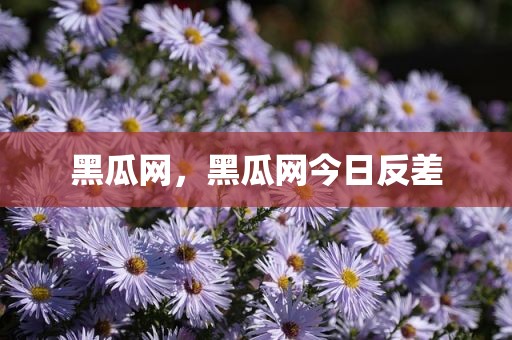 黑瓜网，黑瓜网今日反差