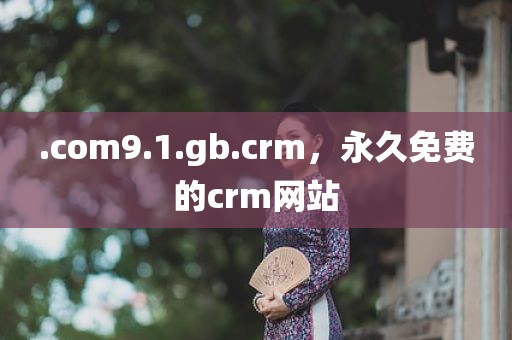 .com9.1.gb.crm，永久免费的crm网站