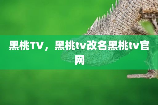 黑桃TV，黑桃tv改名黑桃tv官网