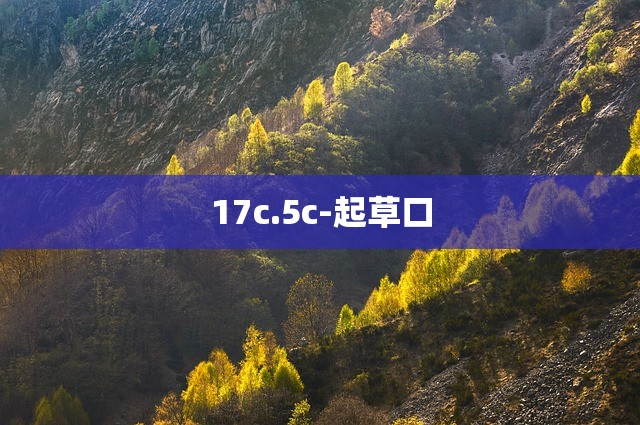 17c.5c-起草口