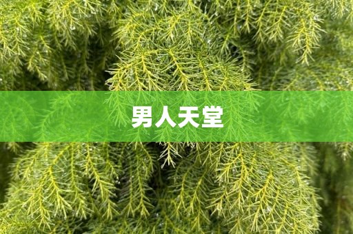 男人天堂