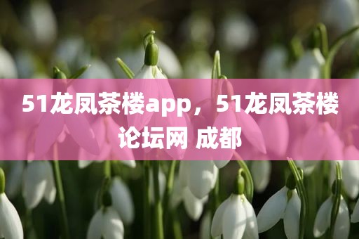 51龙凤茶楼app，51龙凤茶楼论坛网 成都