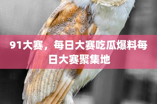 91大赛，每日大赛吃瓜爆料每日大赛聚集地