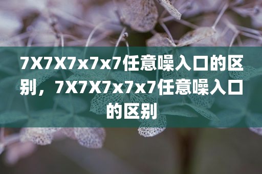 7X7X7x7x7任意噪入口的区别，7X7X7x7x7任意噪入口的区别