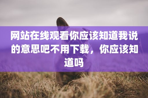 网站在线观看你应该知道我说的意思吧不用下载，你应该知道吗