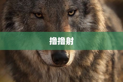 撸撸射