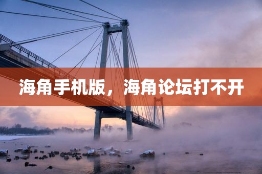 海角手机版，海角论坛打不开
