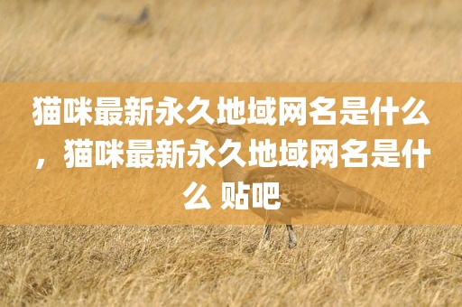 猫咪最新永久地域网名是什么，猫咪最新永久地域网名是什么 贴吧