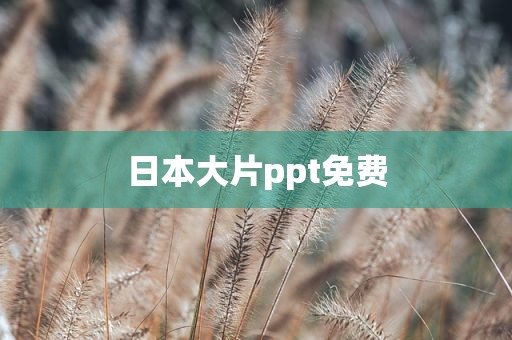 日本大片ppt免费