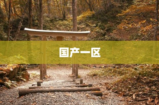 国产一区