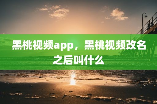 黑桃视频app，黑桃视频改名之后叫什么