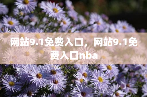 网站9.1免费入口，网站9.1免费入口nba
