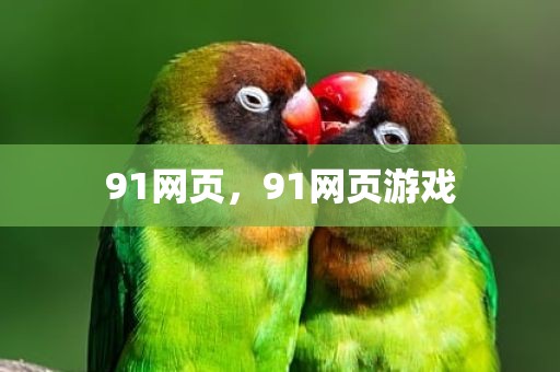 91网页，91网页游戏