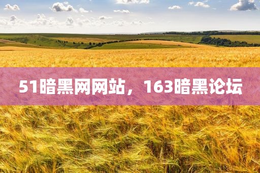 51暗黑网网站，163暗黑论坛