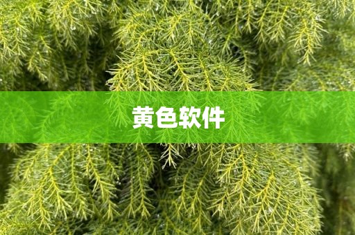 黄色软件
