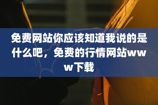 免费网站你应该知道我说的是什么吧，免费的行情网站www下载
