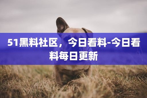 51黑料社区，今日看料-今日看料每日更新