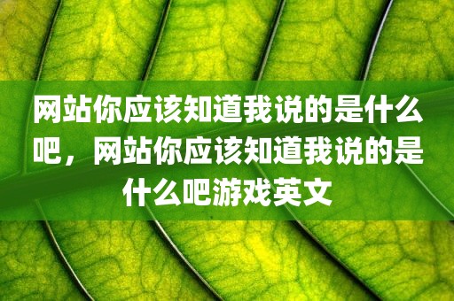 网站你应该知道我说的是什么吧，网站你应该知道我说的是什么吧游戏英文