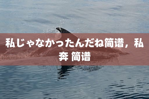 私じゃなかったんだね简谱，私奔 简谱