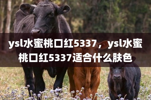 ysl水蜜桃口红5337，ysl水蜜桃口红5337适合什么肤色