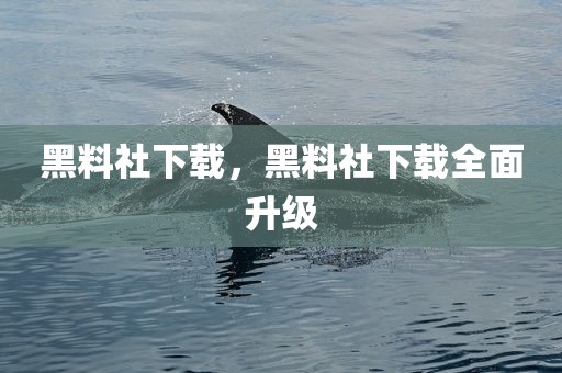 黑料社下载，黑料社下载全面升级
