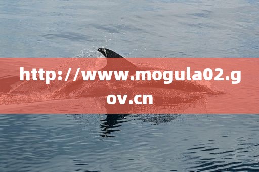 http://www.mogula02.gov.cn