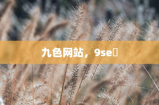 九色网站，9se 