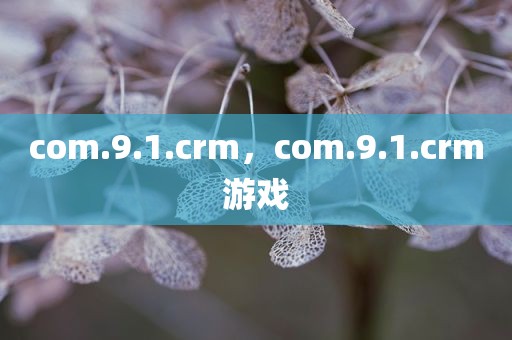 com.9.1.crm，com.9.1.crm游戏
