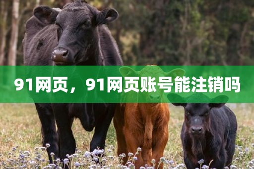 91网页，91网页账号能注销吗