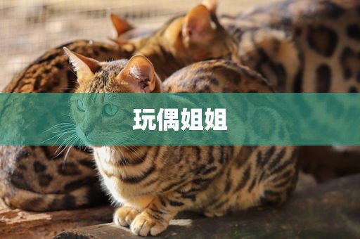 玩偶姐姐