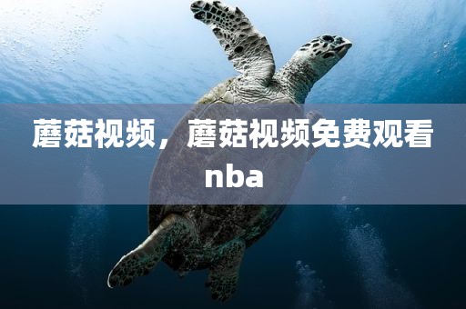 蘑菇视频，蘑菇视频免费观看nba