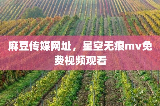 麻豆传媒网址，星空无痕mv免费视频观看
